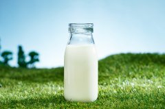 生态草莓牛奶饮品——新鲜果香与牛奶的