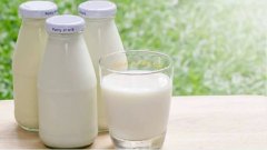 风味生态巧克力牛奶——香浓口感，健康